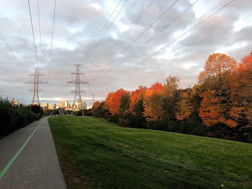 Finch Recreational Trail