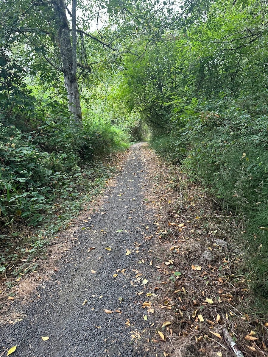 Karen Fraser Woodland Trail connection Onyx Street, photo 3