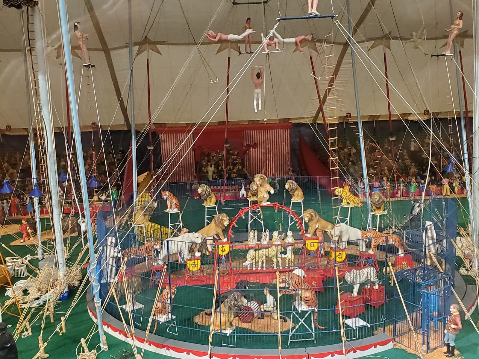 Tibbals Learning Center & Circus Museum at The Ringling, photo 4