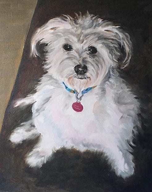 Pet Portrait Studio - Cathy Cole Fine Art, photo 3