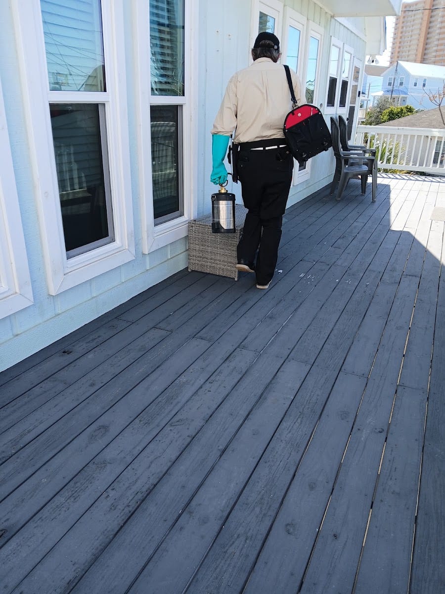 Zaps Pest Control
