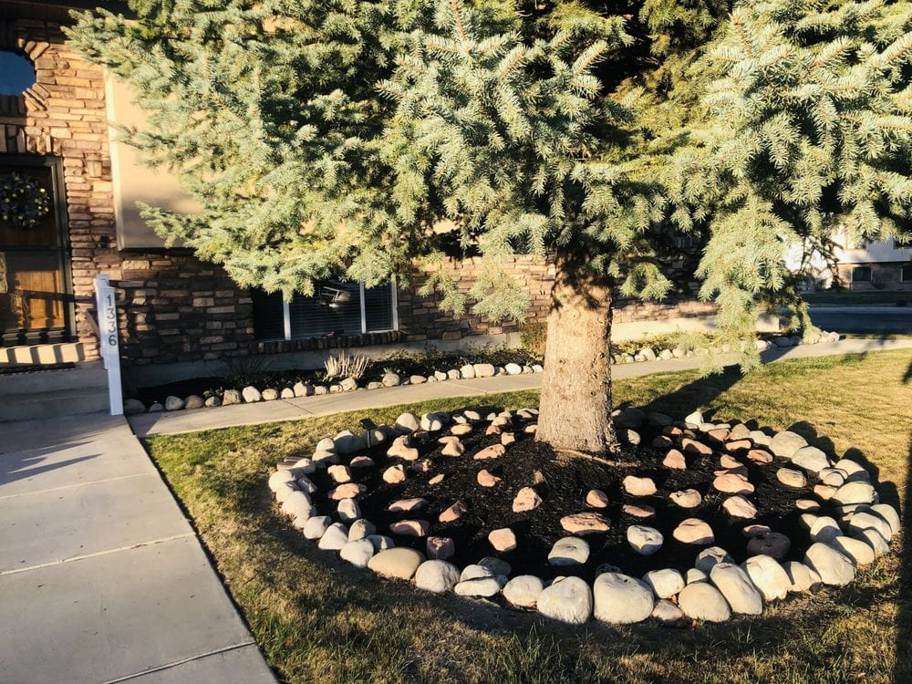 Turffesional Lawn Care & Landscaping, photo 3