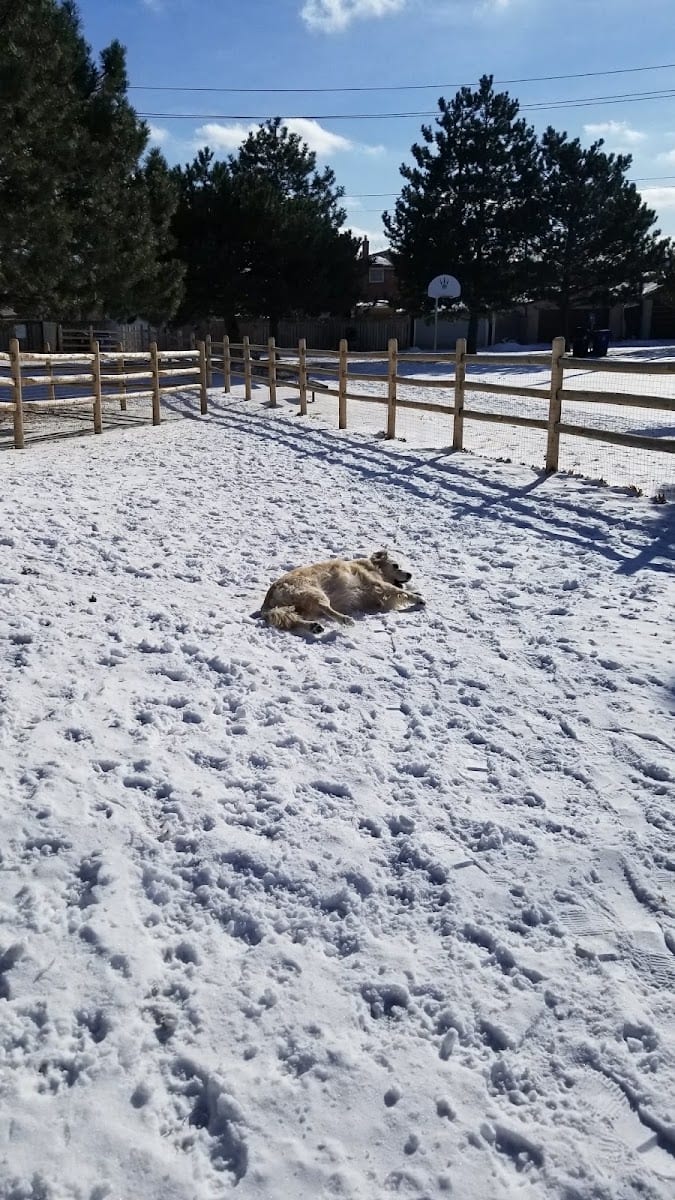 Woolner Dog Park