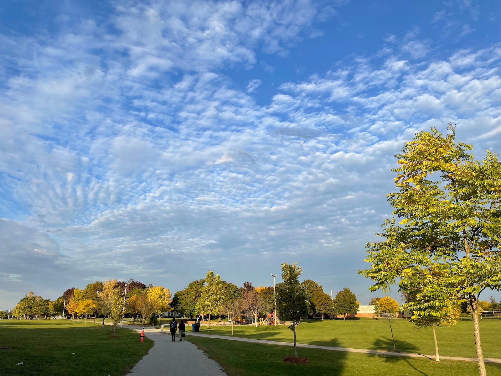 Baycrest Park