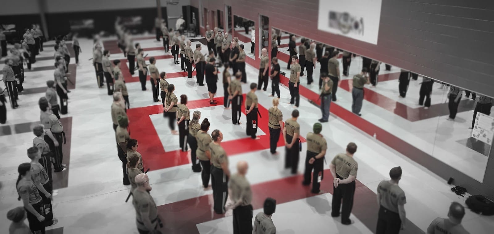 Global Traditional Martial Arts, photo 2