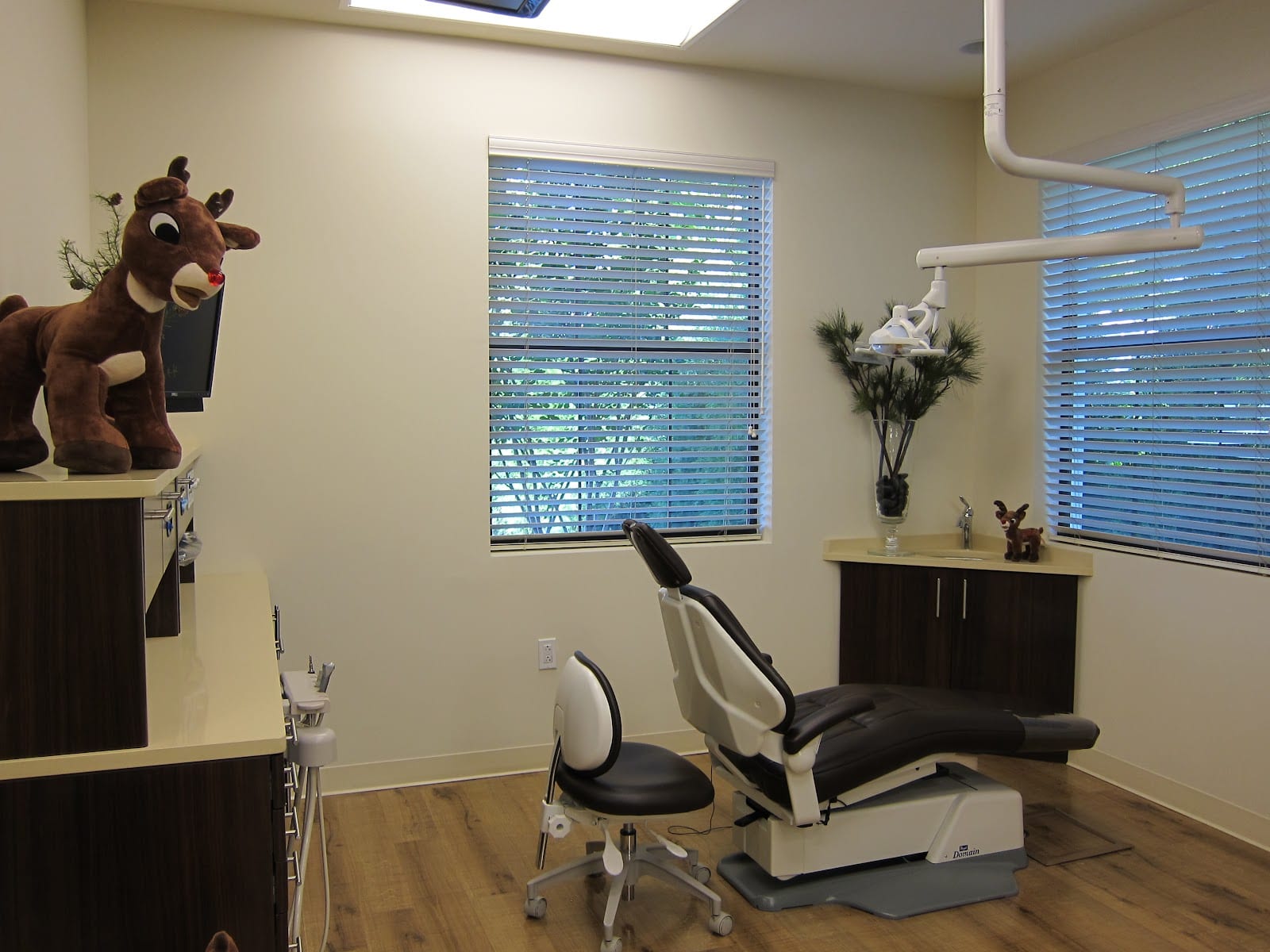 South Tampa Pediatric Dentistry, photo 2