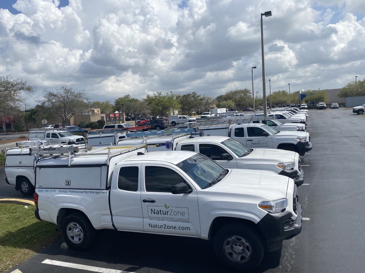 NaturZone Pest Control, photo 3