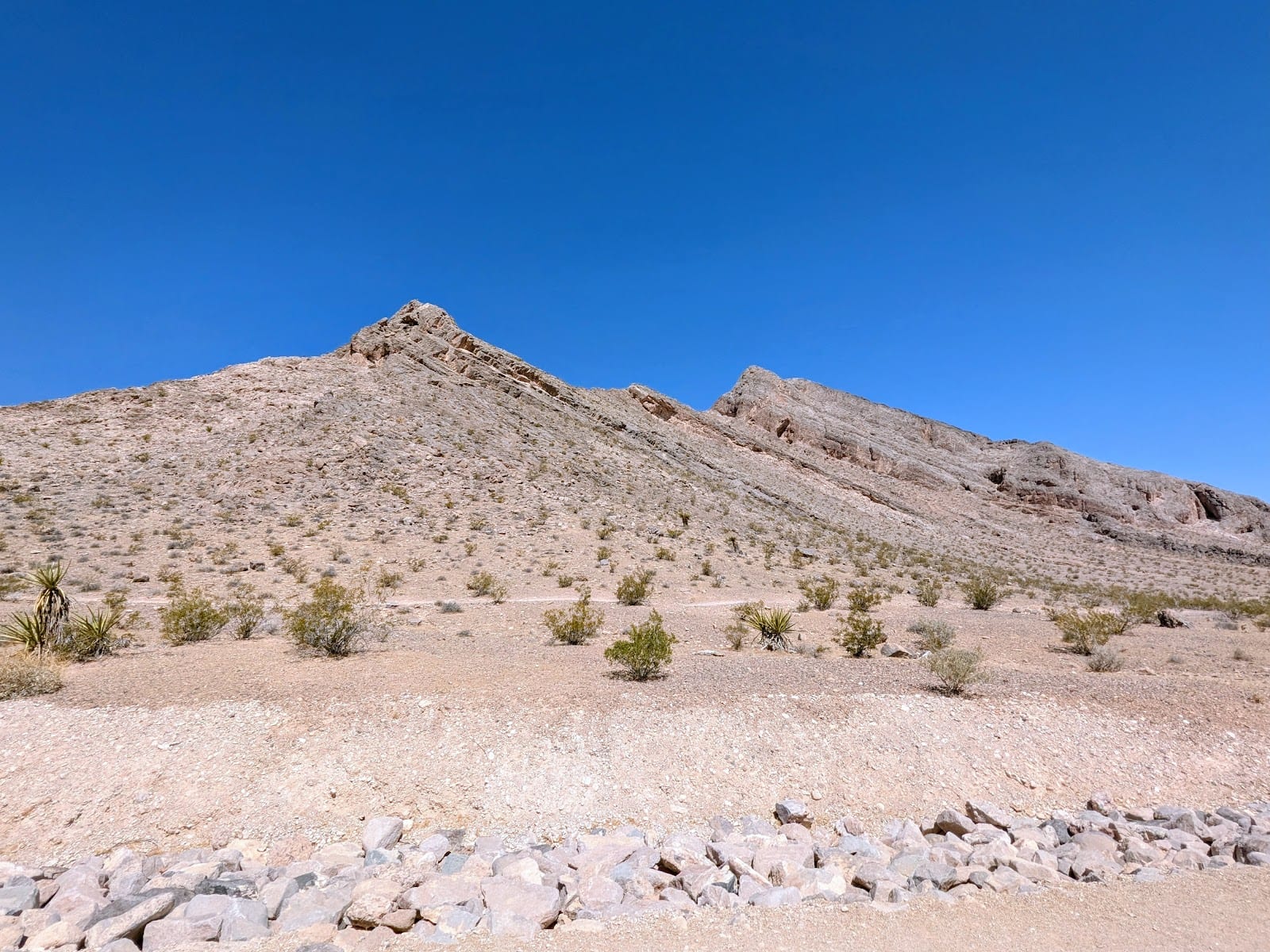 Lone Mountain Equestrian Trail Parking