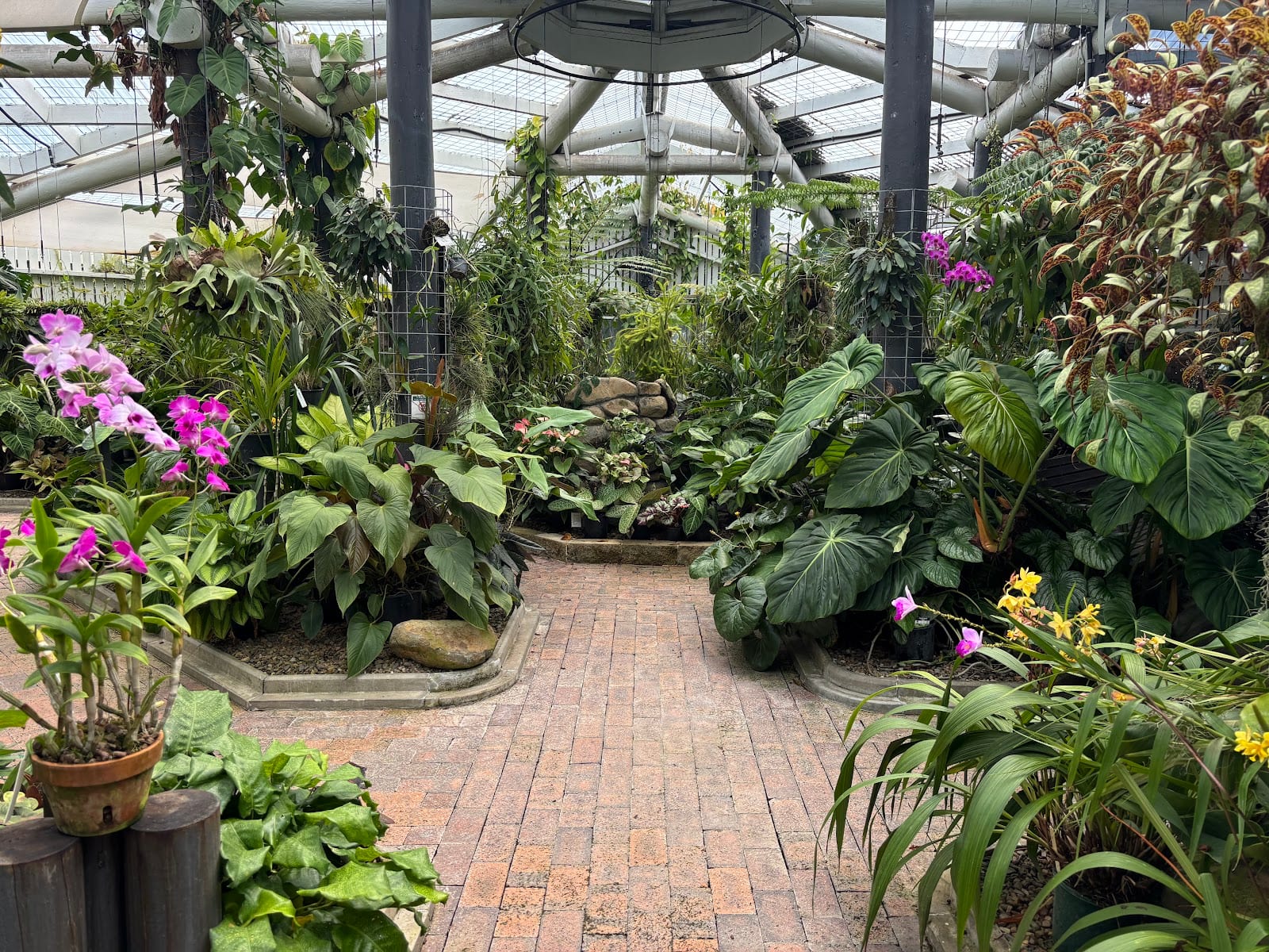 Mackay Orchid House