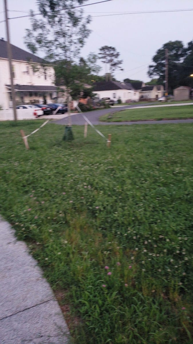 Covington Park, photo 3