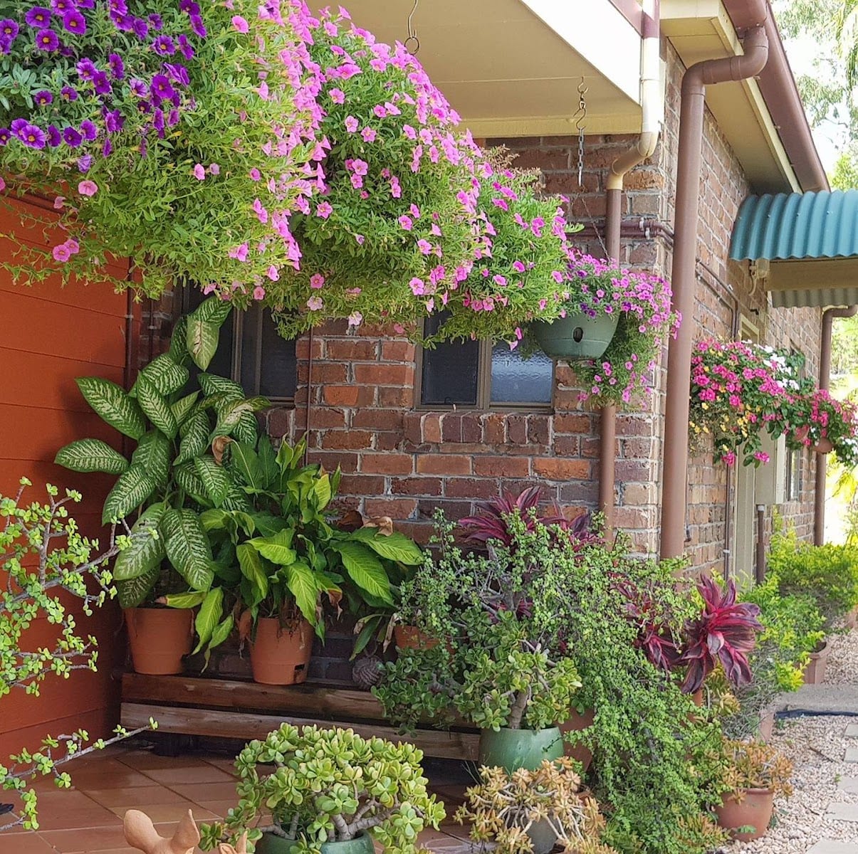 Grasstree Beach Bed & Breakfast, photo 2