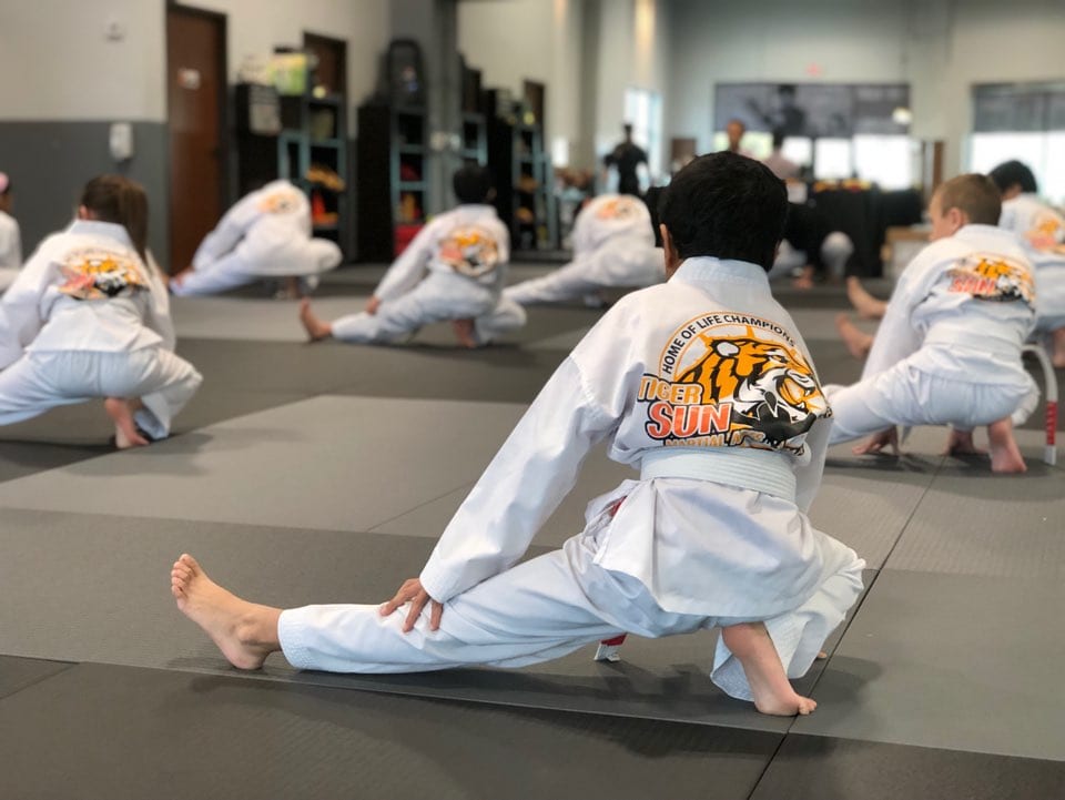 TIGER SUN MARTIAL ARTS FRISCO / KARATE TAEKWONDO, photo 2