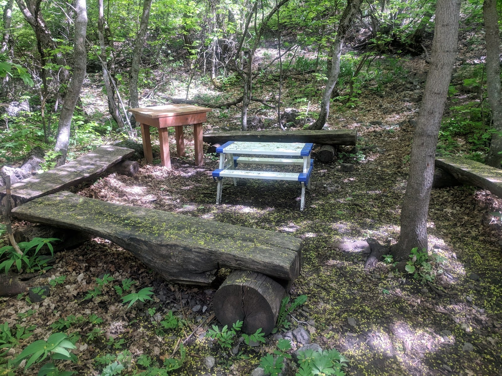 Stokes Nature Center, photo 4