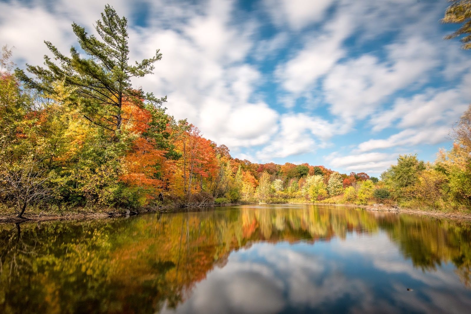 Moccasin Trail Park