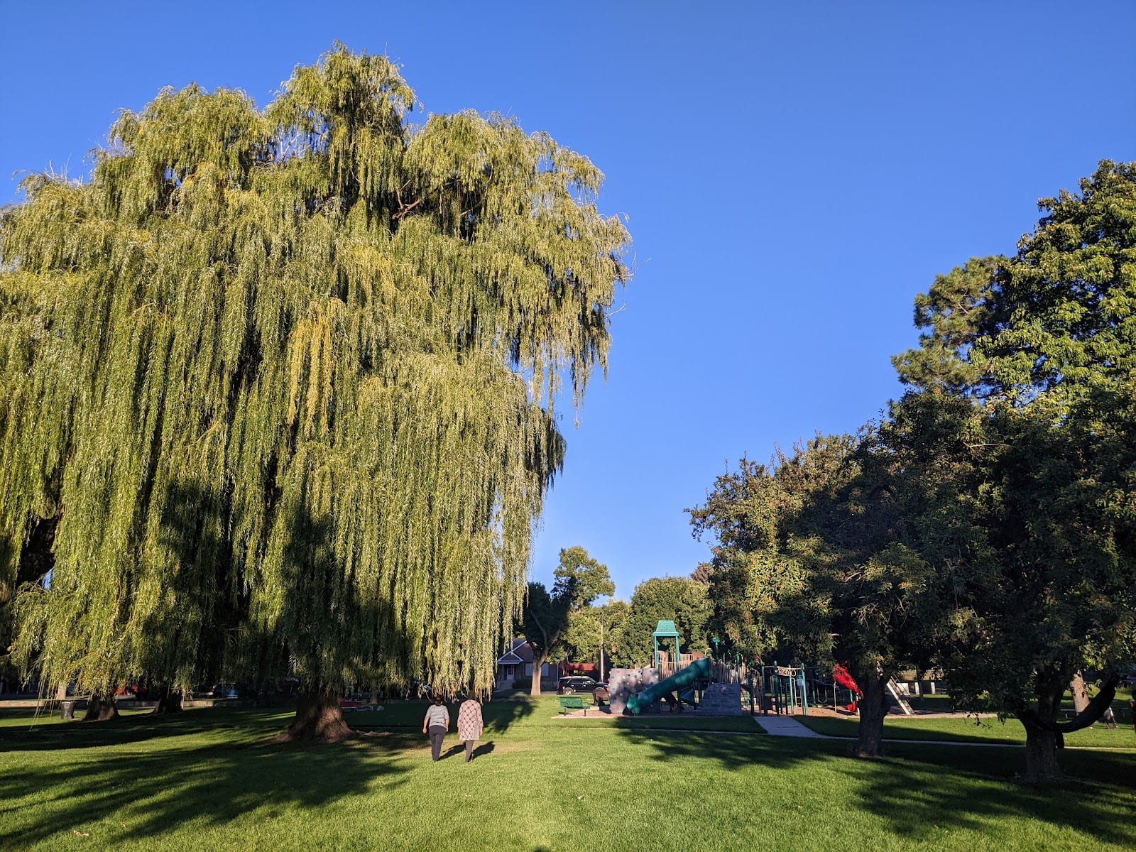 Adams Park Playground