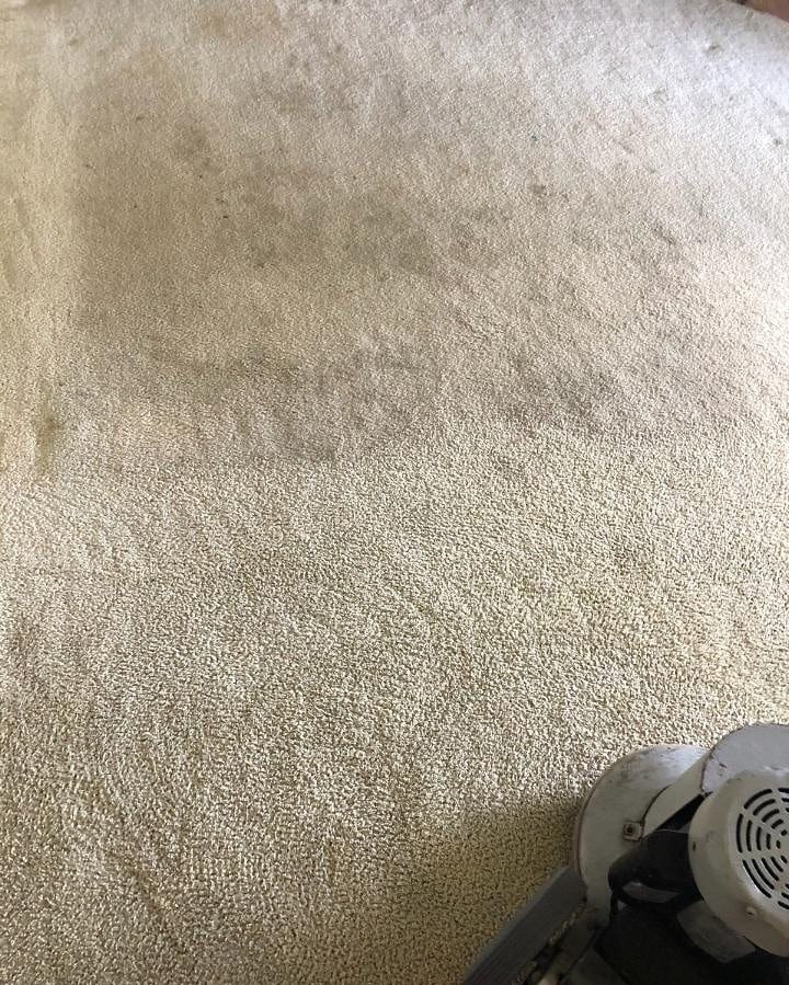 Chem-Dry of Scottsdale & Paradise Valley