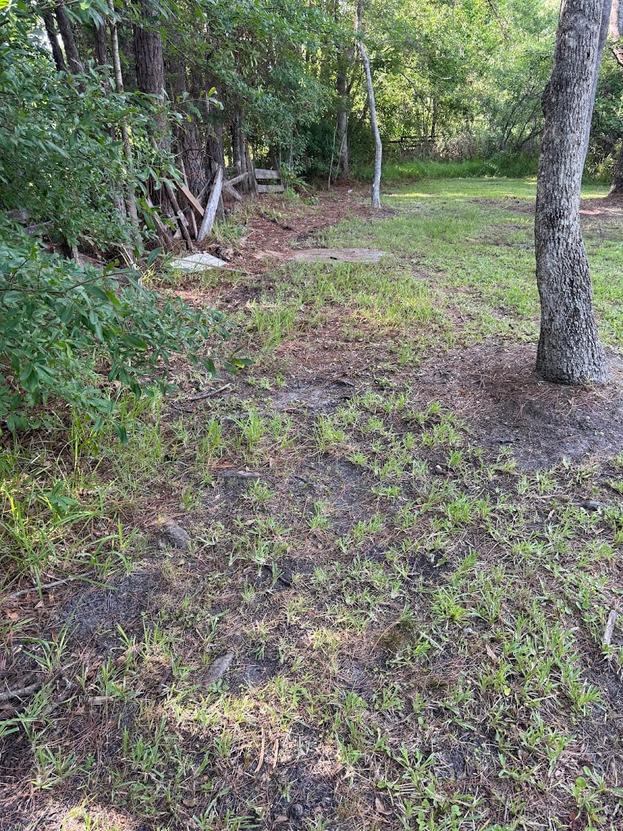 Gators lawn service, photo 4