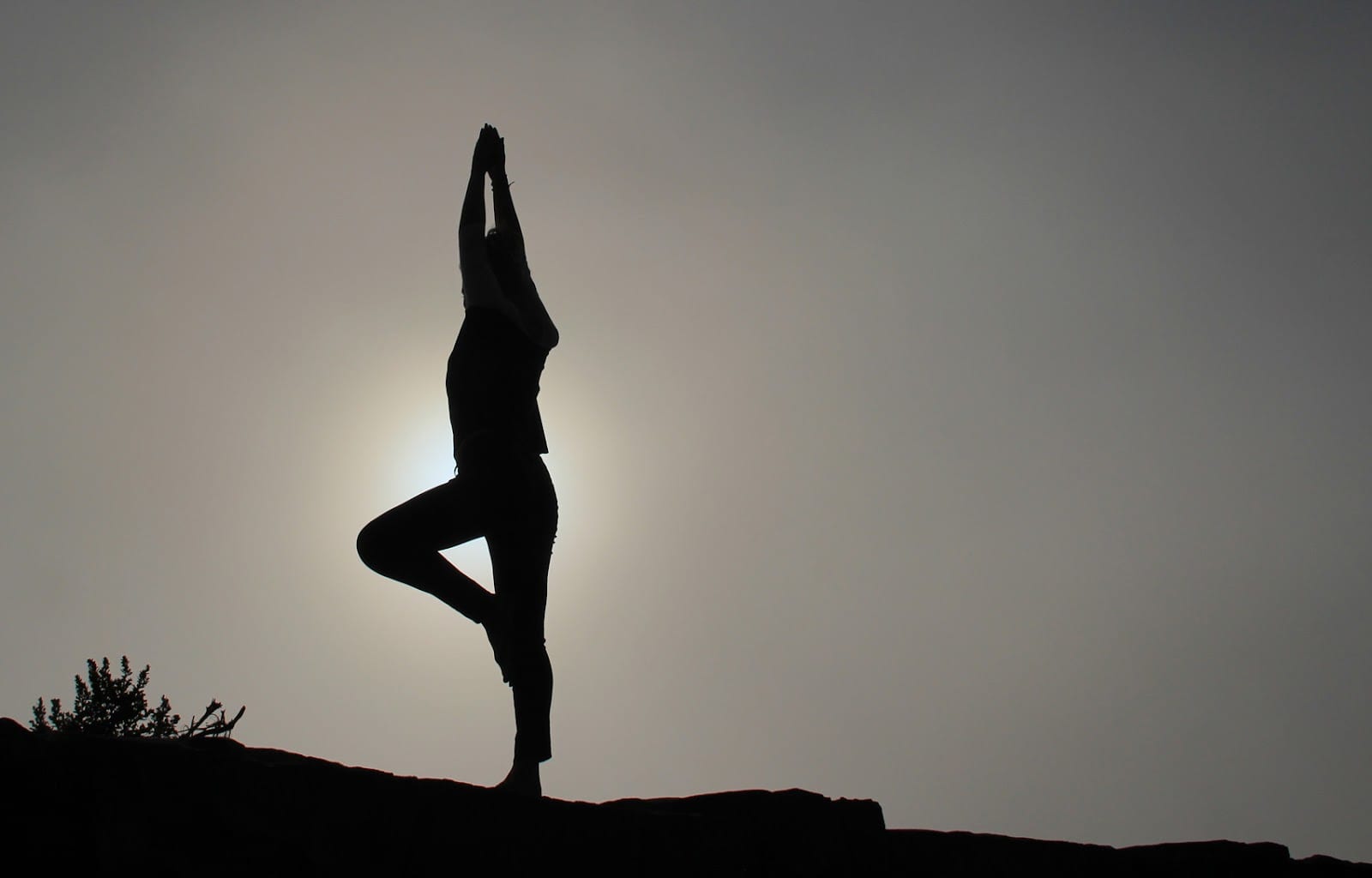 Desert Spine & Sports Physicians, photo 2