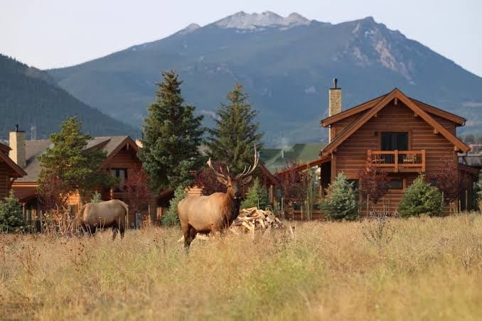 Lake Front! Mtn/Lake Views,HotTub,Gas FirePit,Walking Trail to town & shopping