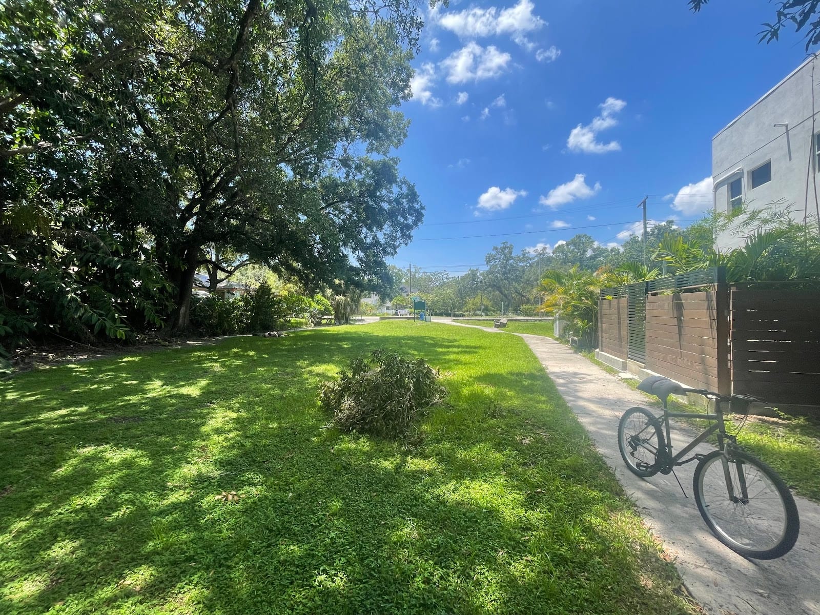 Phillips Park