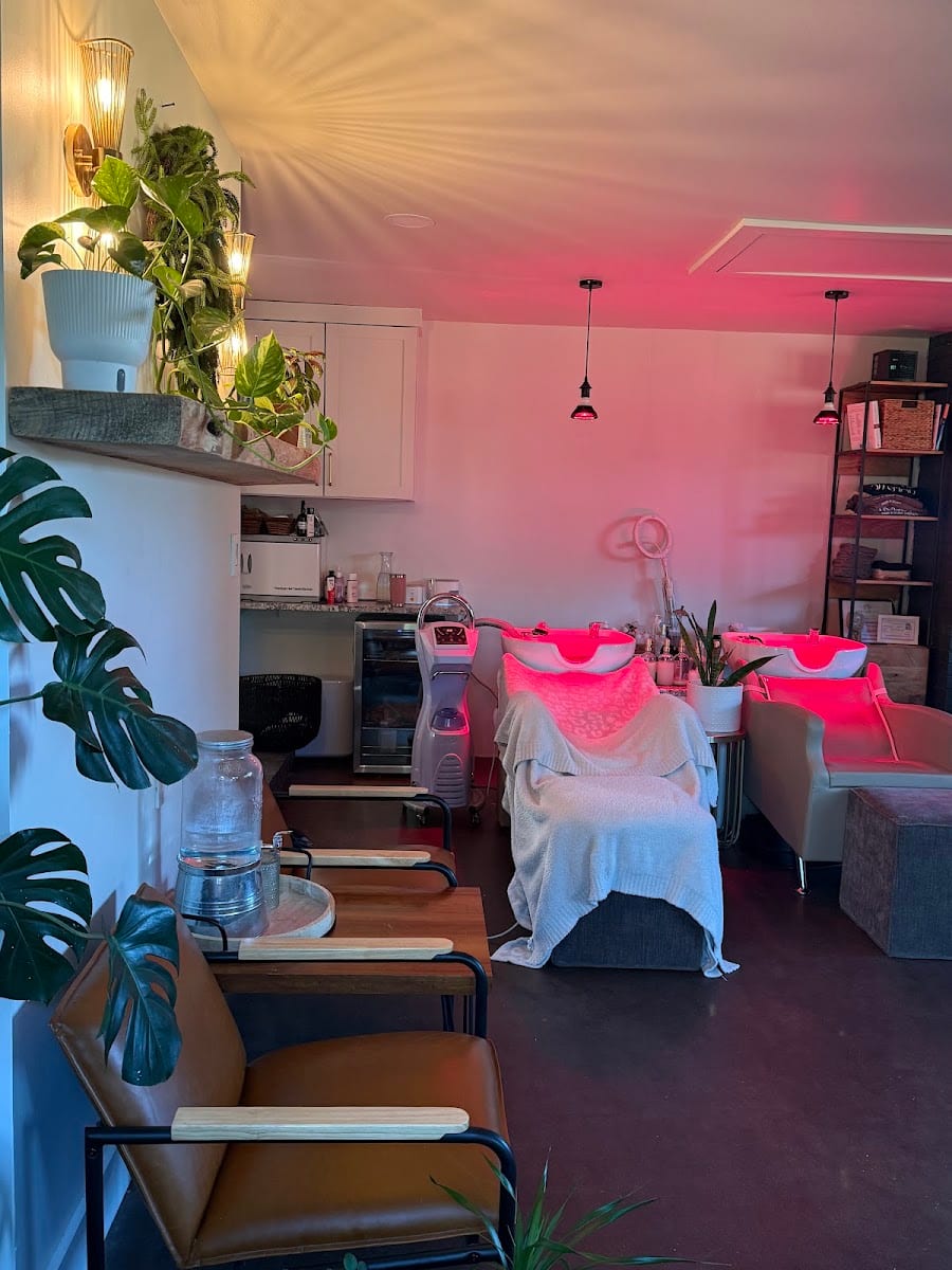 1116 Holistic Hair and Scalp Therapy, photo 2