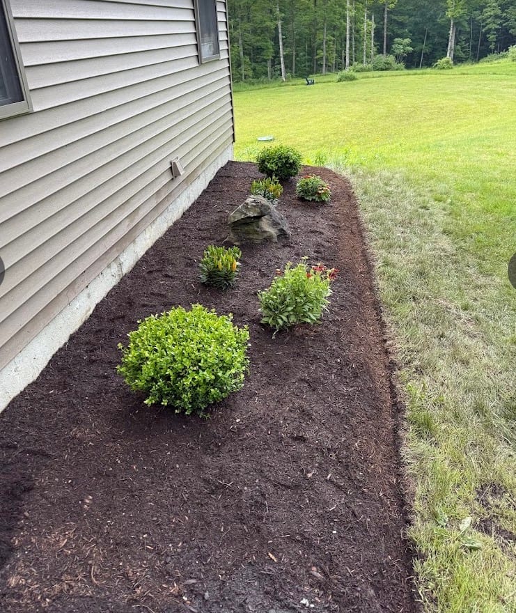 Premier Landscaping of Scottsdale