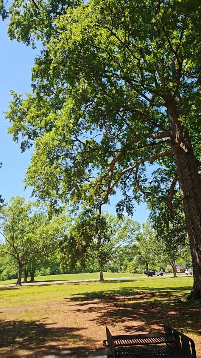 Briarfield Park, photo 3