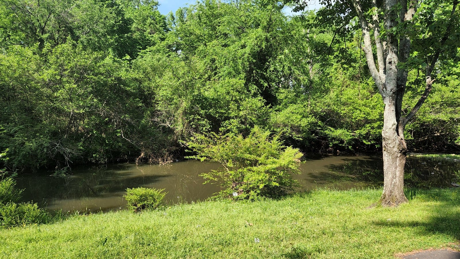 Birchwood Park, photo 2