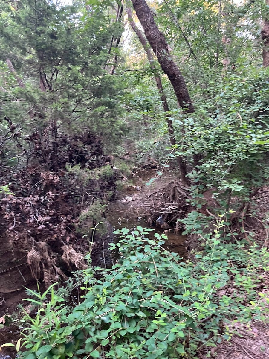 Corinth Community Trails, photo 3