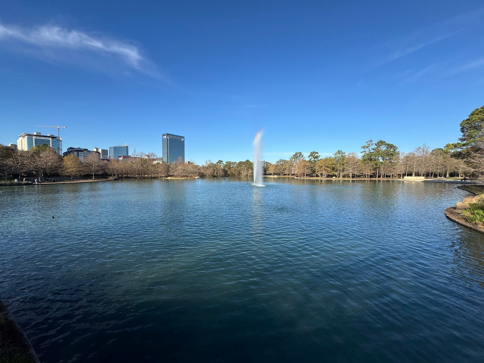 Hermann Park Lake Plaza, photo 3