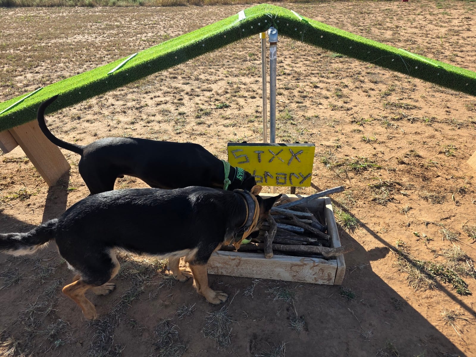 DJ2 Private Dog Park
