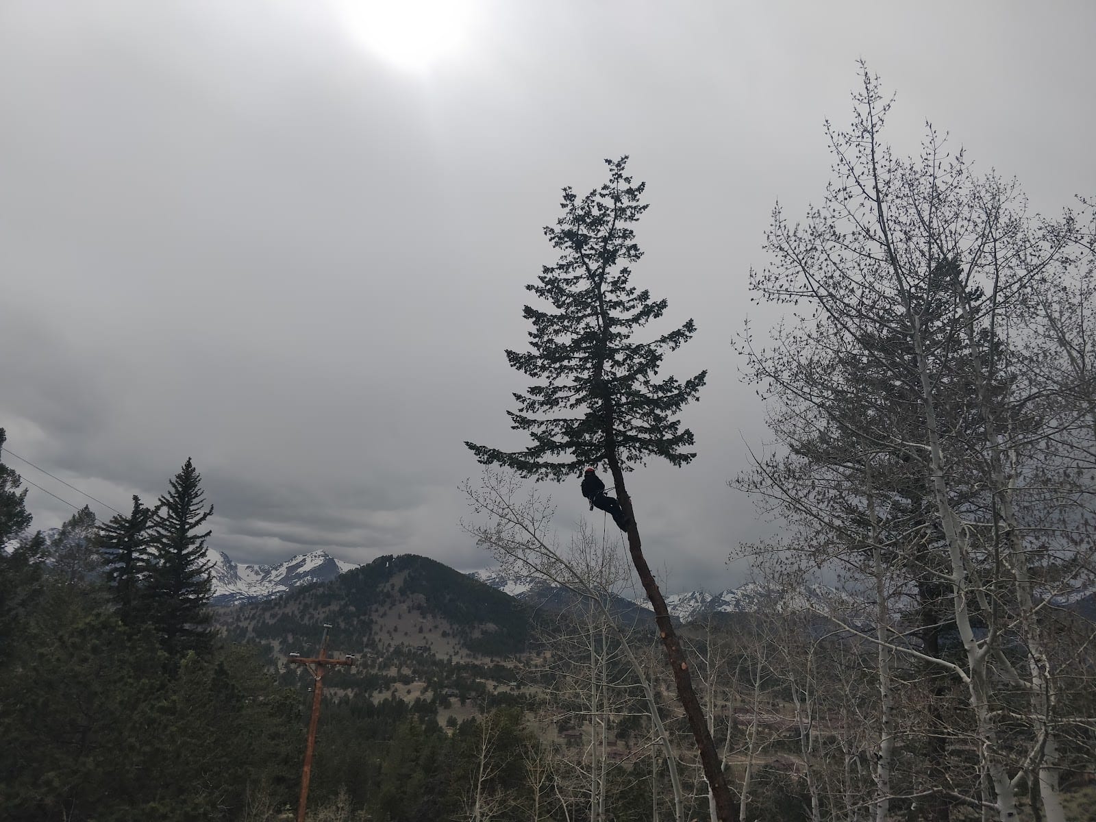 Estes Valley Tree Care LLC, photo 2