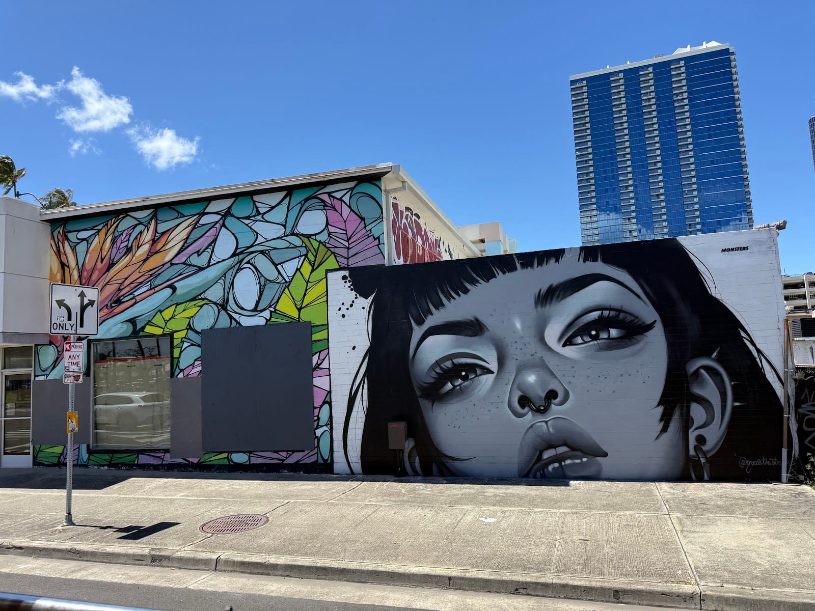 Kakaako street art, photo 3