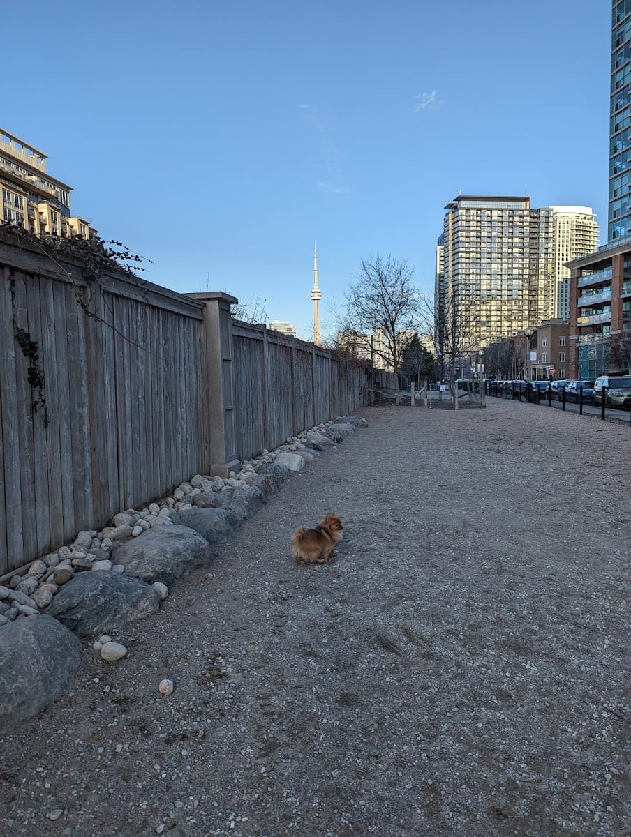 Liberty Village Dog Park