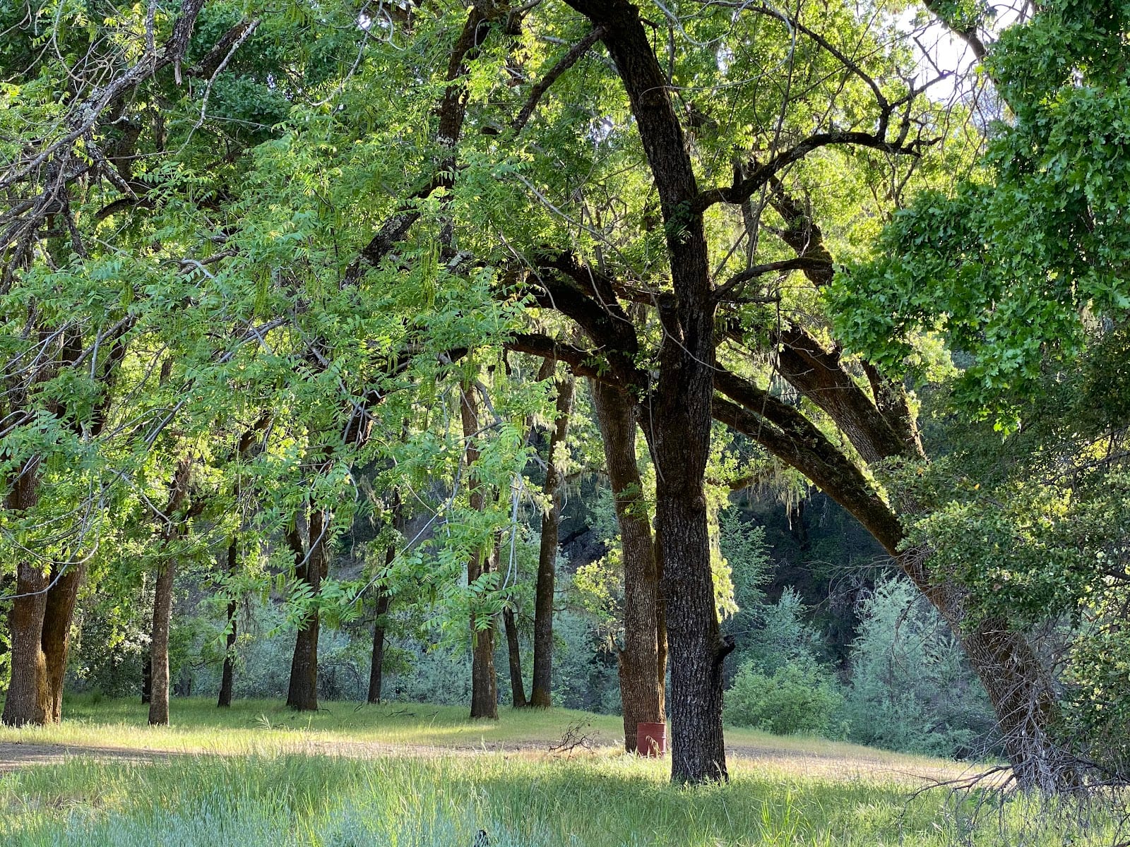 R-Ranch At the Lake, photo 3