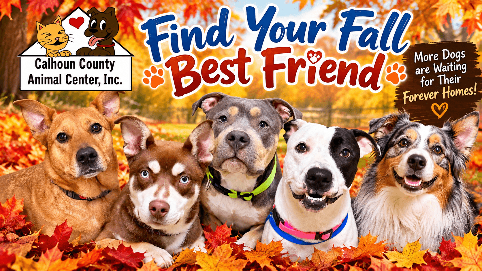 Find Your Fall Best Friend