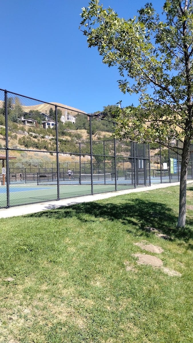 Pickleball Courts at 11th Avenue Park, photo 3