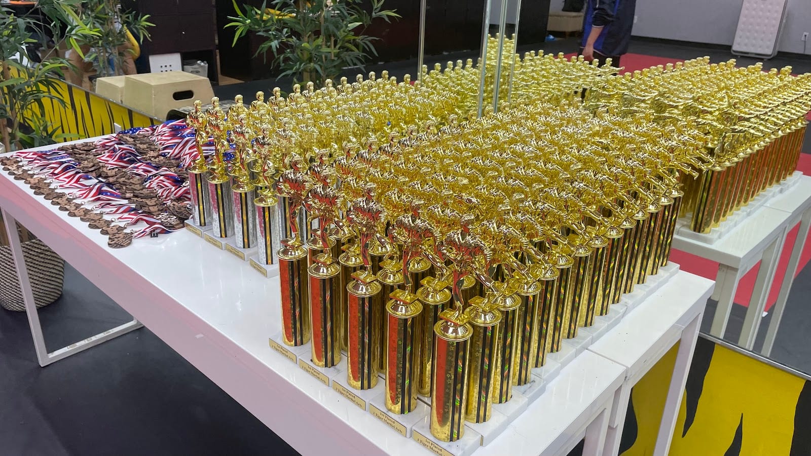 J Tiger martial Arts Trophy club, photo 4