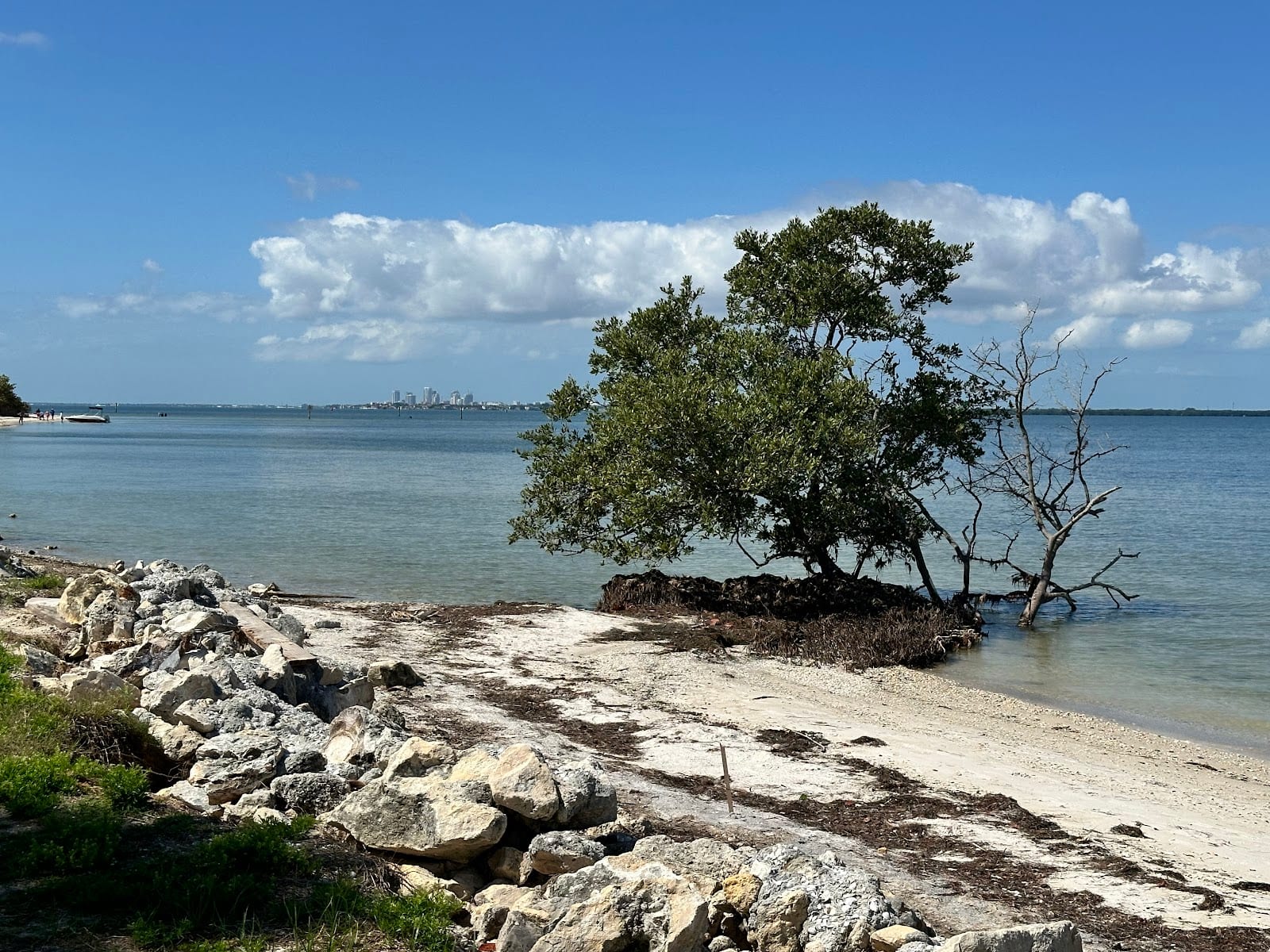 Picnic Island Park, photo 3