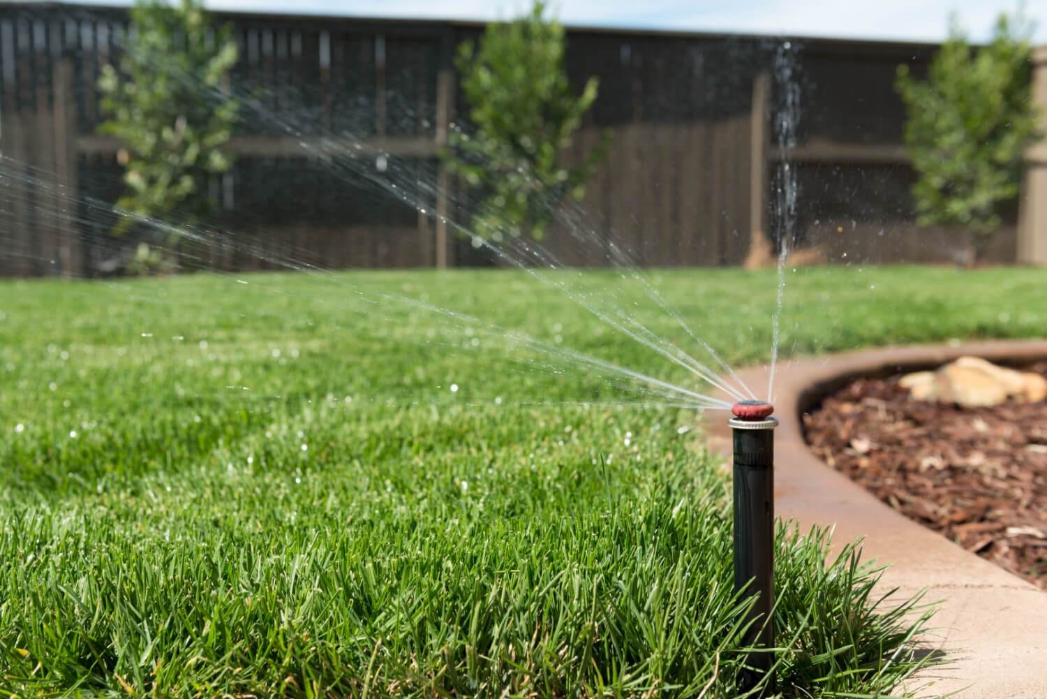 Save My Sprinklers, photo 2