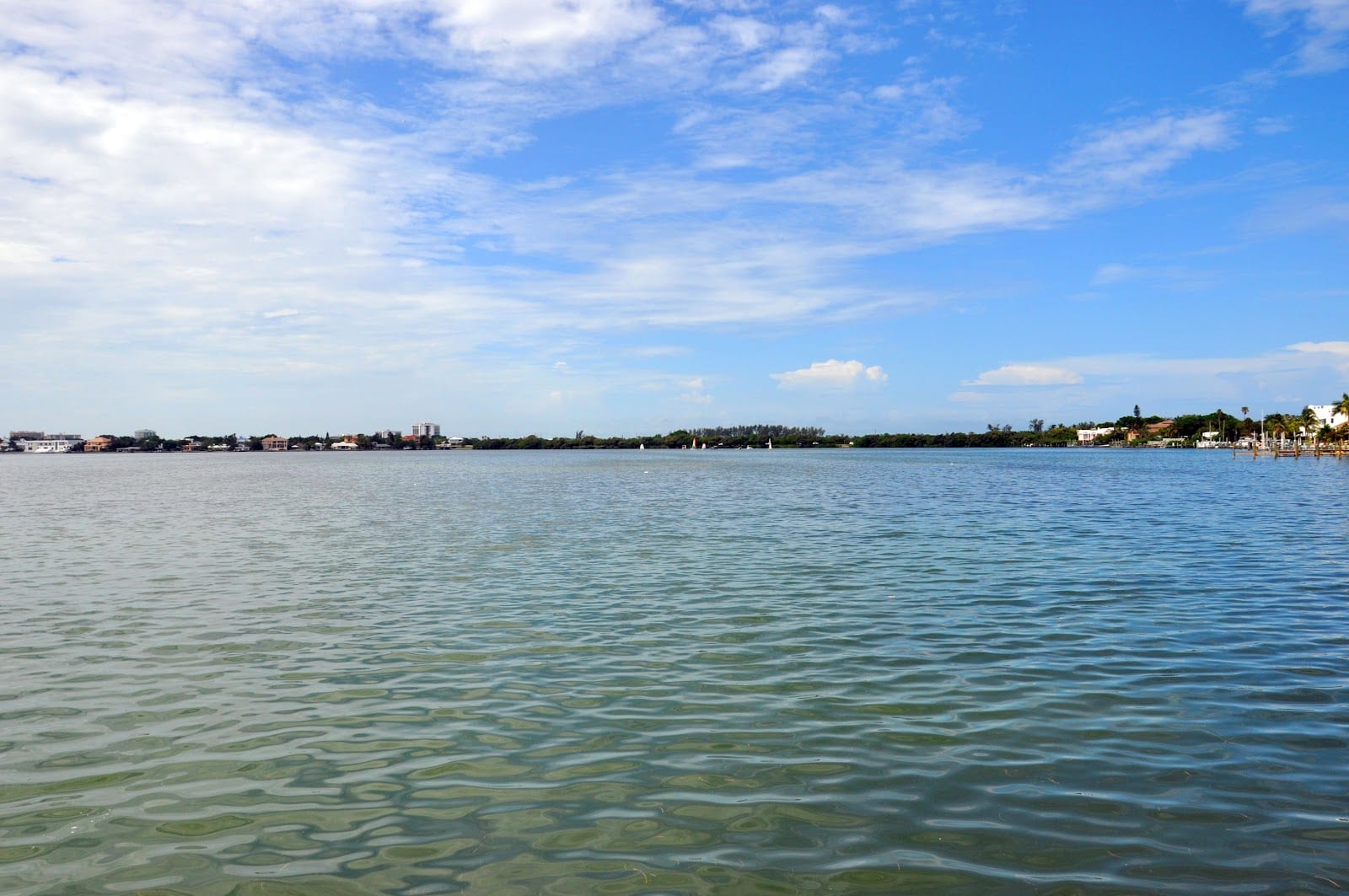 Sarasota Bay Walk, photo 4
