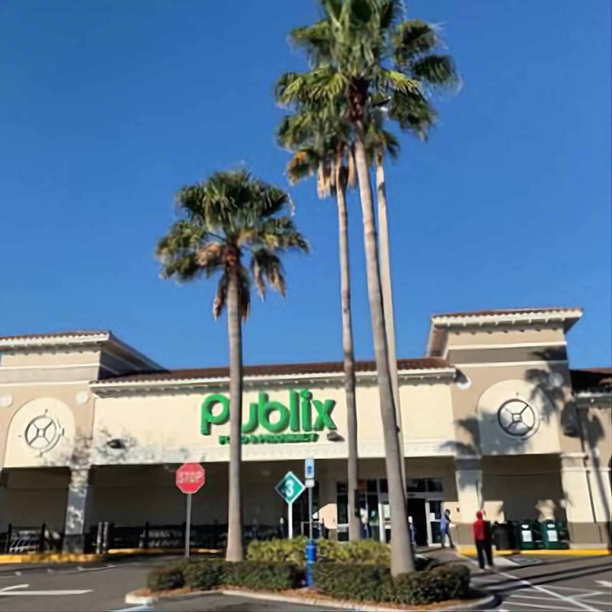 Publix Pharmacy at Dale Mabry Shopping Center, photo 2