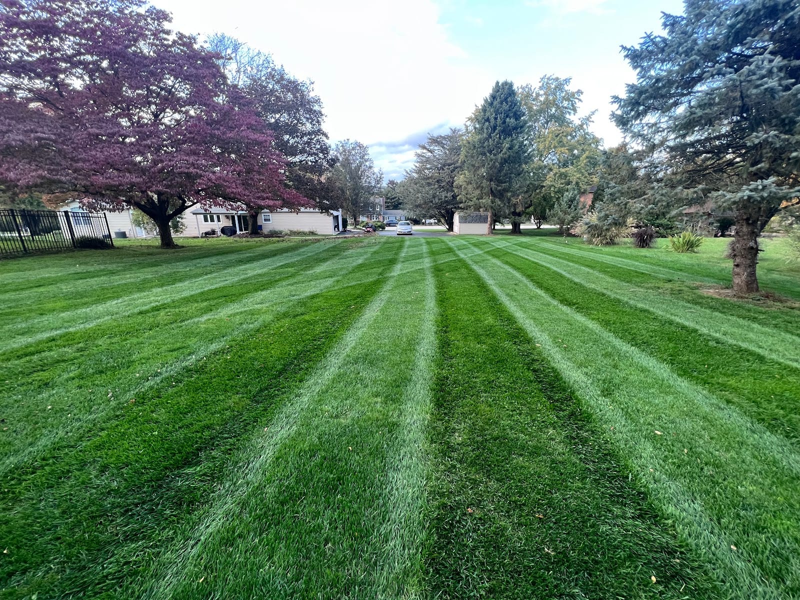 Delaware Valley Turf