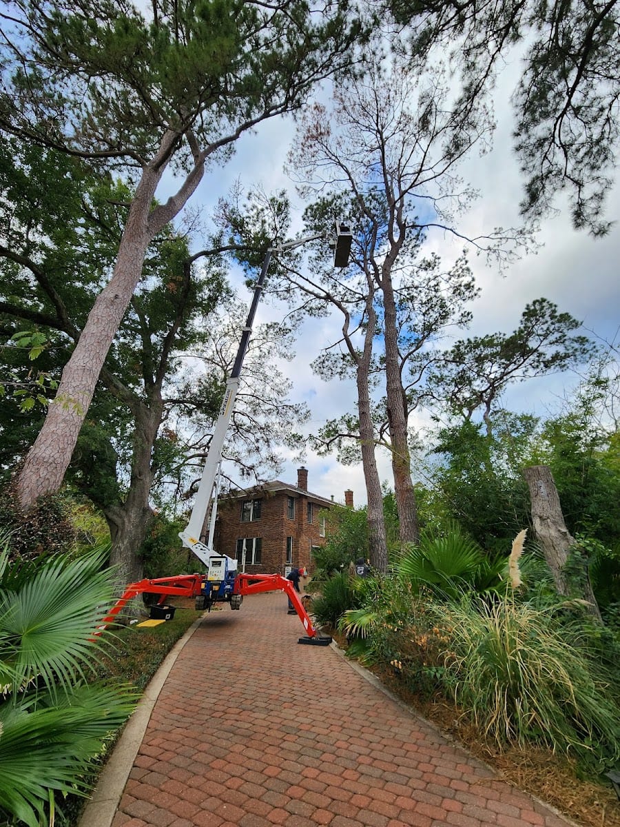 Sendero Arbor Care, photo 2