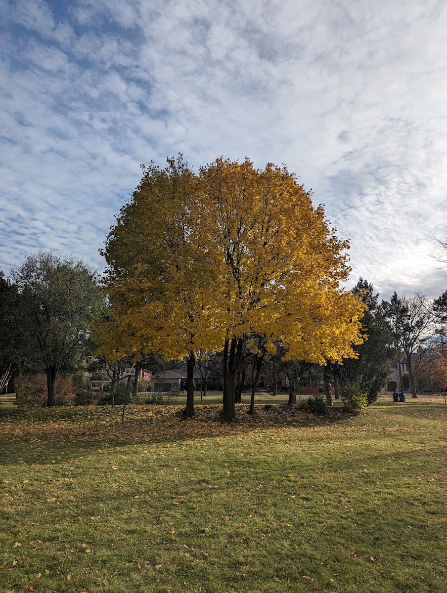 Owen Park, photo 3