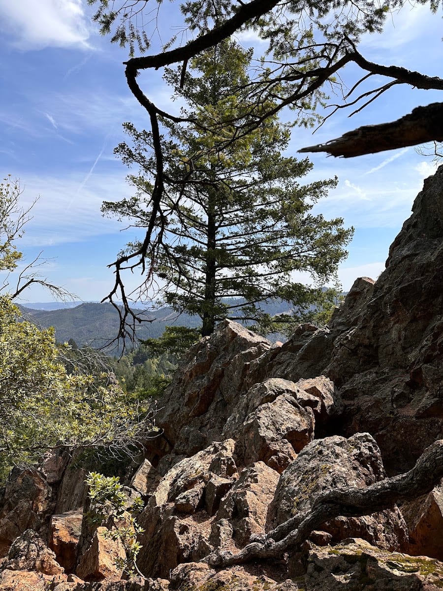 Mt. St. Helena Trailhead