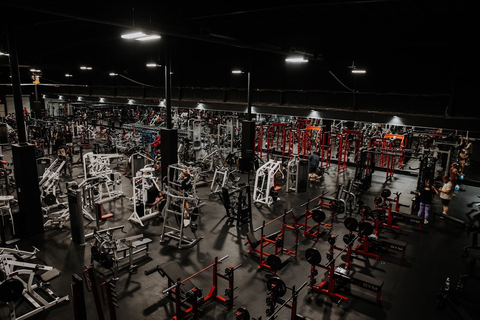 WHY GYM, photo 2