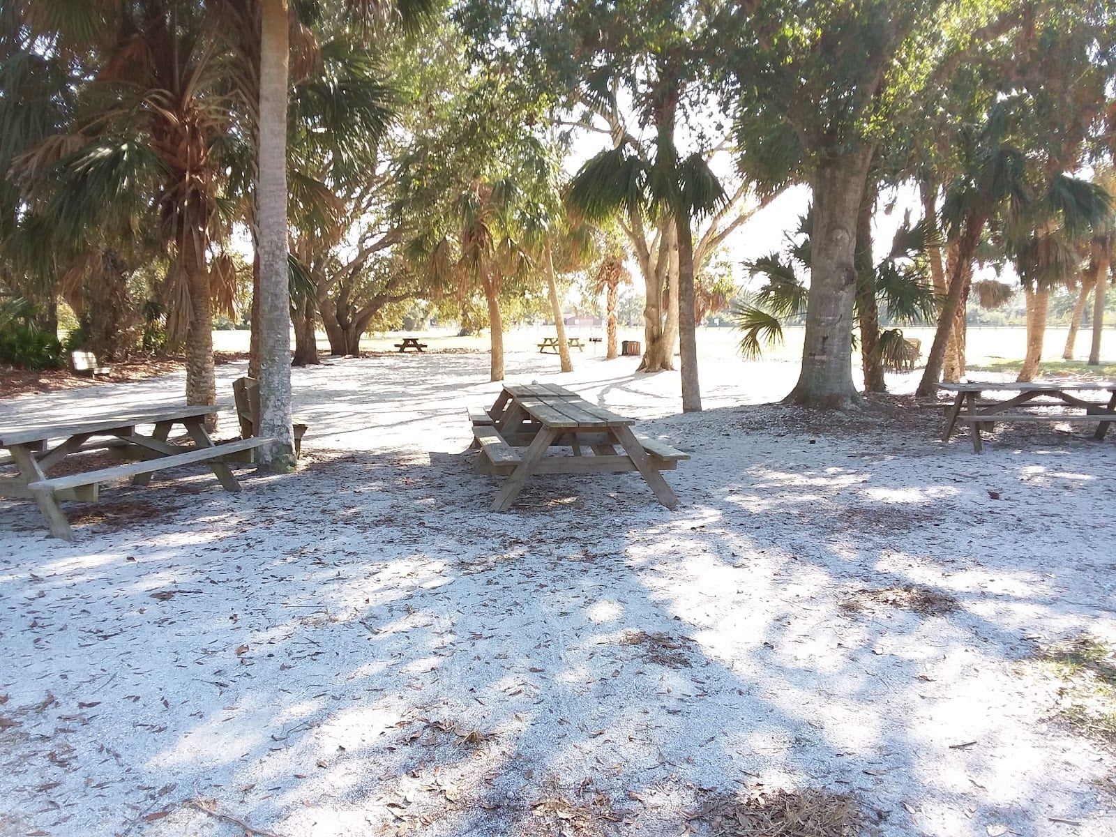 Buchan Airport Park, photo 3
