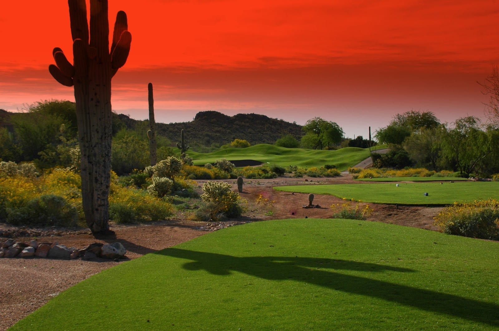 Golf & Grow