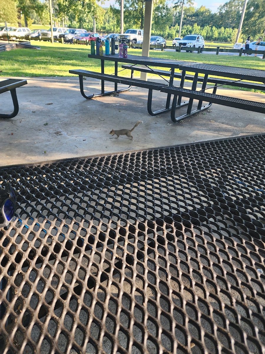 Dog park